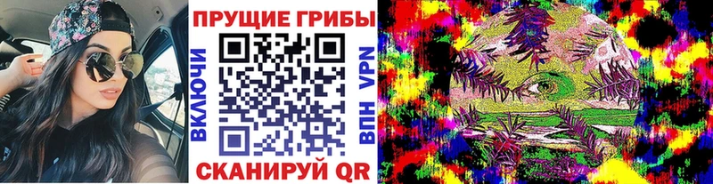 купить цена Спас-Деменск Псилоцибиновые грибы мицелий